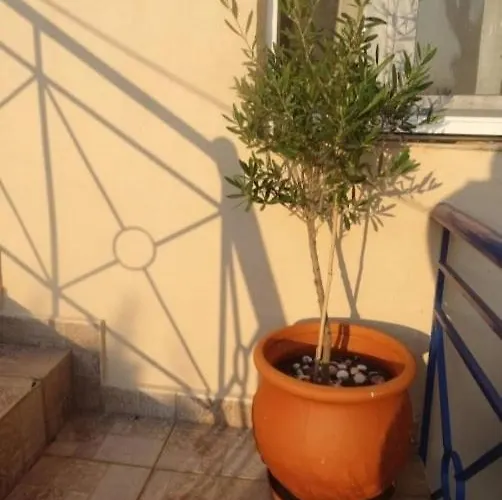Velika Seaside Apartment